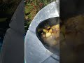 Cooking with solar oven