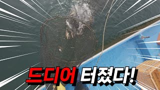 드디어 터졌다! 엄청난 한파에도 한가득 들어와버렸네요..ㄷㄷ