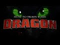 A Raptor's Adventure (How To Train Your Dragon Live Action - Toothless)