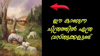 ഇതിൽ എത്ര വസ്തുക്കളുണ്ട്. കൂടുതൽ കണ്ടെത്തുന്നത് ആര് ? | illusion picture reading in malayalam