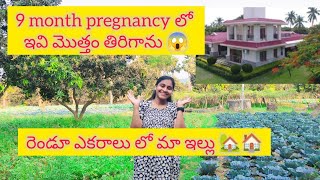 రెండు ఎకరాలు లో మా ఇల్లు 🏠🥺😍 pregnancy లో ఇవి అన్నీ తిరిగాను💃🥳 #vlogs #food #teluguvlogs #foodshorts