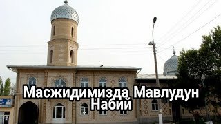 Масжидимизда Мавлудун Набий | Masjidimizda Mavludun Nabiy