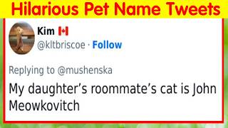 Times Vets Heard Such Brilliant And Bizarre Pet Names That They Just Had To Share Them - Funny Pets