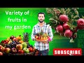 SWEET HOME | Guess the number of fruits variety? | KUKKU PETS HUT |