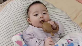 寶寶整天狂咬狂吃【3個月大】3 Months Old