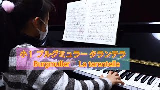 小１ ブルグミュラー タランテラ　Burgmuller 　La tarentelle