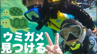 沖縄の海でウミガメ探します‼️高確率で遭遇できるスポット🤩