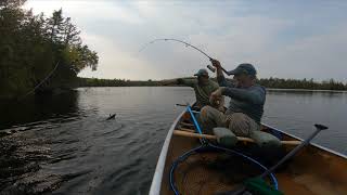 In Which Dwight and Warren Paddle the Boundary Waters and Find Brook Trout