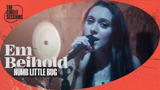 Em Beihold - Numb Little Bug (Live) | The Circle° Sessions