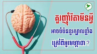 ក្រៅពីអូមេហ្កា៣ ខួរក្បាលត្រូវការវីតាមីន២ប្រភេទនេះប្រចាំថ្ងៃ​ ជំនួយការចងចាំ បំប៉នខួរក្បាល/Be Healthy