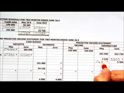 Cash budget and Projected Income Statement in columns Cash budget and Projected Income Statement in columns