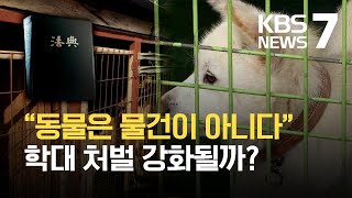 “동물은 물건이 아니다” 입법예고…학대 처벌 강화될까? / KBS 2021.07.19.