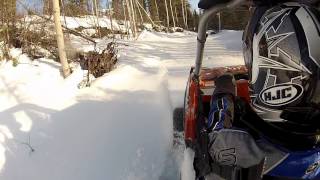 Rzr with Mattracks in the snow