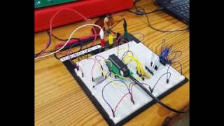 Z1 - Alpha: 10 segment LED bar module demonstration