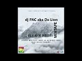 dj PAC aka Da Lion - Elevate Riddim Mixtape