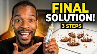 3 Steps That Finally Stopped My Roach Problem
