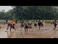 Kearifan lokal masyarakat Toraja// Panen ikan massal