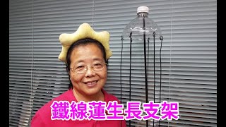 DIY 寶特瓶 鐵線蓮爬藤花架