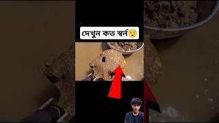 স্বর্ন বা সোনা তোলার ভিডিও😯 gold #new #gold #news #shorts #facts #tiktok #সোনালি  #স্বর্ণের