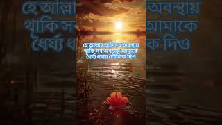 হে আল্লাহ আমি যে অবস্থায় থাকি সব অবস্থায় আমাকে ধৈর্য্য ধরার তৌফিক দিও #shortsvideo #youtubeshorts#সব