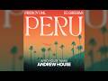 Fireboy DML & Ed Sheeran X Andrew House - Peru (Afro House Remix)
