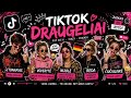 Šetoniukas - Tiktok draugeliai (2026)