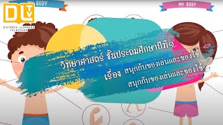 DLTV1 วิทยาศาสตร์ ป.1 | เรื่อง สนุกกับของเล่นและของใช้ | เรียนออนไลน์