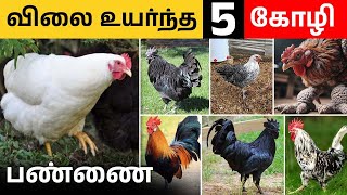 அதிக லாபம் தரும் 5 கோழி பண்ணை விவசாயம்  | Top 5 Poultry Farms in Tamil