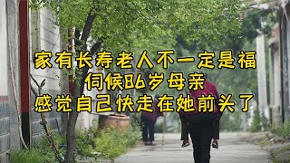 父母多年前认的干儿子，考上大学后12年没联系，如今他又来认亲