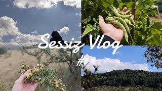 SESSİZ VLOG | Köyde Bir Gün 🌲💚 #sessizvlog