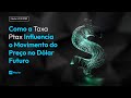 Como a Taxa Ptax Influencia o Movimento do Preço no Dólar Futuro