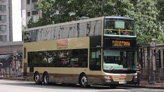 Hong Kong Bus KMB AMNE1 @ 265B 九龍巴士 MAN A95  旺角柏景灣-天恆邨