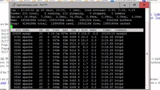 Using Putty To View Your Server Processes