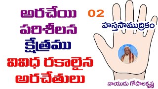 అరచేయి పరిశీలన 02 || క్షేత్రము || వివిధ రకాలైన అరచేతులు || హస్తసాముద్రికం || నాయుడు గోపాలకృష్ణ