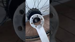 Mahle Ebikemotion X35+ freehub failure