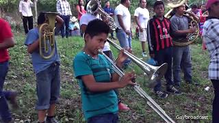 Así tocan los Niños de la Banda de viento Los Volvers en la huasteca veracruzana