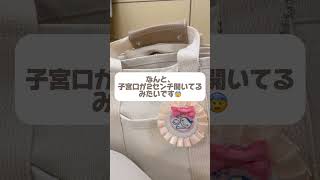 【妊娠36週2日目】15日後に双子を出産する妊婦#shorts