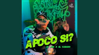 A poco si? (feat. El Habano)