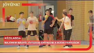 Majdnem másfél évtizede építkezik a Budai Farkasok 🏐 KÉZILABDA