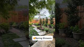 ❤️Spring showers in the Garden🏡 #gardening #zone9 #marchgarden #garden