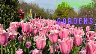 Unbelievable Garden Transformation - Longwood Gardens 2022 Spring Blooms!