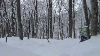 Powder riding and tree jibbing at Akakura Resort in late January 2010