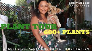 Summer Plant tour 600+ plants: Patio Part 2a | August 2020 | ILOVEJEWELYN