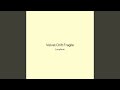 Velvet Drift Fragile