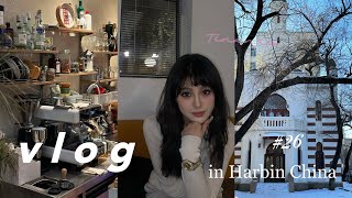 Vlog 26❄️My hometown went viral this winter☃️Daily in Harbin📖