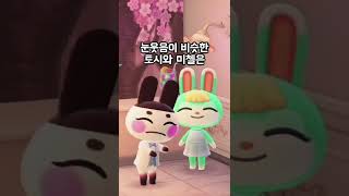 귀가 계속 흔들리는 토끼 주민들 🐰 (모동숲)