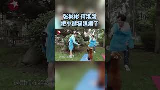 差最后2秒，小熊猫无情离去#张彬彬 #何洛洛 假装任务成功可还行#极限挑战宝藏行