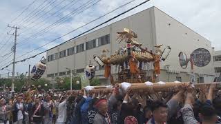 令和６年 ＜浦安・三社祭＞「猫実・豊受神社」宮神輿（東組連合・西組）二基＝渡御（猫実1丁目～２丁目）