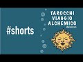 cosa sta facendo? 🙄😮😇#shorts #tarocchi #interattivo #tarot #viral #music #asmr #news #new #videos