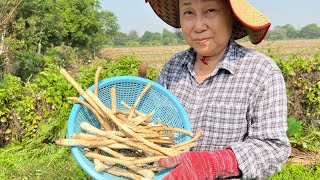 เก็บเห็ดโคน ที่สวนเพิ่งออก ทำเห็ดโคนต้มเกลือ